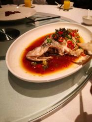 -上海雅居乐万豪侯爵酒店·宴会厅