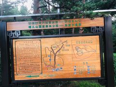 -帽儿山国家森林公园