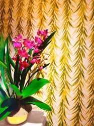 -文华东方水疗中心