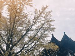-句容茅山景区
