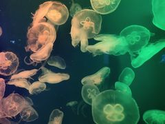 -成都浩海立方海洋公园