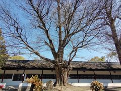 -苏州碑刻博物馆