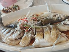 清蒸白丝鱼-状元楼(金溪路店)