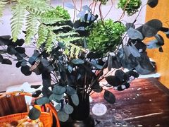 -泰·菩提树下[泰式按摩x精油SPAx肩颈头疗](新景店)