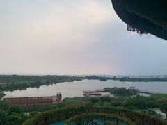 -芒洲湿地公园