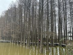 -采石矶景区
