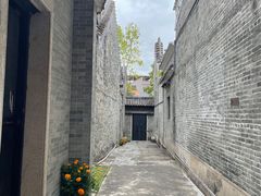 -碧江金楼