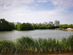 -新江湾城公园