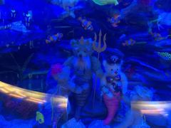 iphone_upload_pic-成都泰迪熊博物馆