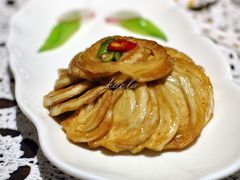 特色茴香根-西郊5号·Maggie 5