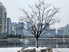 -西北湖绿化广场