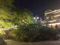 -老幺泉水鸡