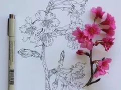 -歌迷量贩KTV(光彩市场店)