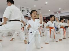 -极真空手道修远道场