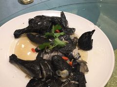 -沙龙酒家