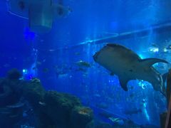 -成都浩海立方海洋公园