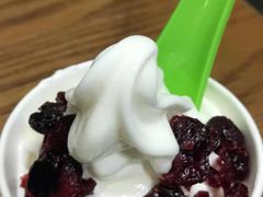 -Salud撒露欧洲冻酸奶(五道口购物中心店)