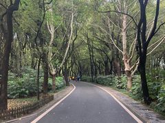 -东湖落雁景区