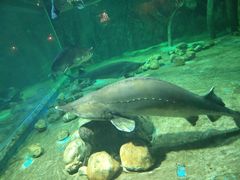 -华夏文旅海洋公园