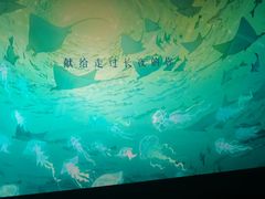 -万达影城(廊坊万达广场激光IMAX店)