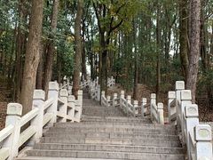 -灵岩山风景区