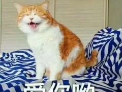 -平行世界·猫咖(首经贸店)