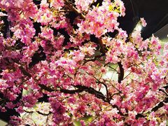 -宝月楼·台湾菜馆(天河城店)
