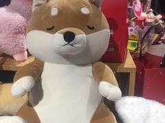 -九木杂物社(新奥购物中心店)