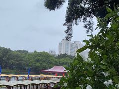 -荔湾湖公园
