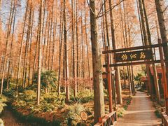 -上海怡沁园度假酒店