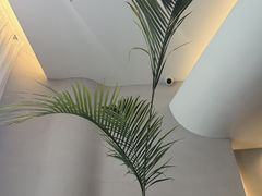 -上蔬无瑕· 创意素食·Vegetarian(华采天地店)