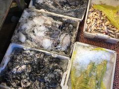 -芦潮港集贸市场