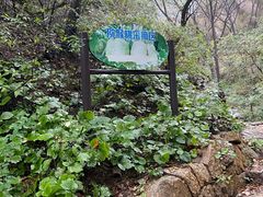 -大岭沟猕猴桃谷风景区