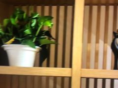 -尚荟汤泉生活馆