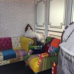 点击看大图 -光SPA科技美肤