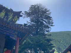 -五台山风景名胜区