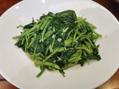 -丁老爷子苏香圆