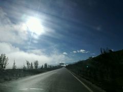 -蘑统田下·野生菌火锅