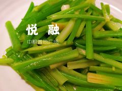 清炒鲍芹-悦融·京鲁菜·露台花园(安定门店)