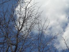 -玖鲜小笼(中山广场店)