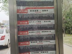 -大兴滨河森林公园