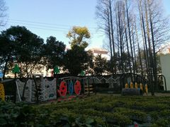 -大宁国际幼儿园(永和东路)