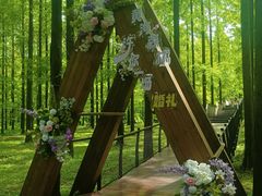 -黄海国家森林公园