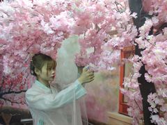 -深圳失恋博物馆再见前任(汇商名苑店)