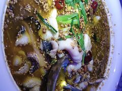 -巴特餐饮6加1音乐餐吧·新疆菜