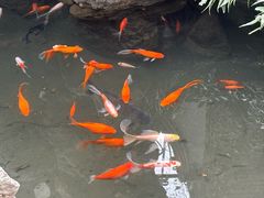 -浙江省博物馆(孤山馆区)