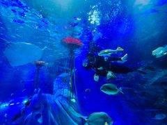 -沈阳海洋探索中心