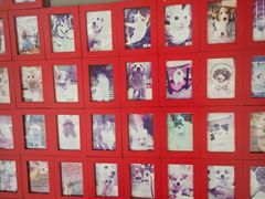 -严国平动物医院(德政总院)