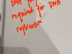 -JT PREP国际学科课程·IB·AP·Alevel(陆家嘴校区)