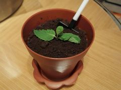 -成都新东方千禧大酒店-琥珀西餐厅